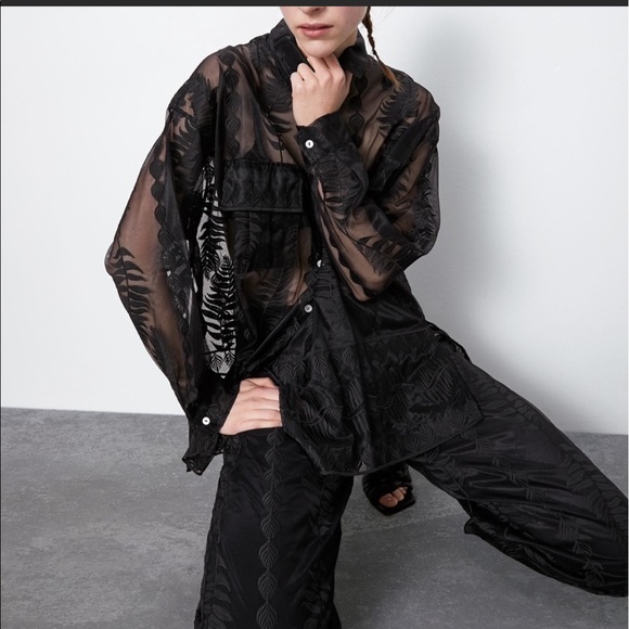 Zara embroidered organza shirt - Picture 1 of 16